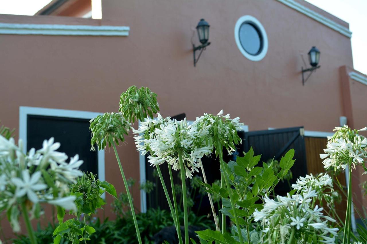 Ferienwohnung La Monturera, Loft De Campo Colonia del Sacramento Exterior foto